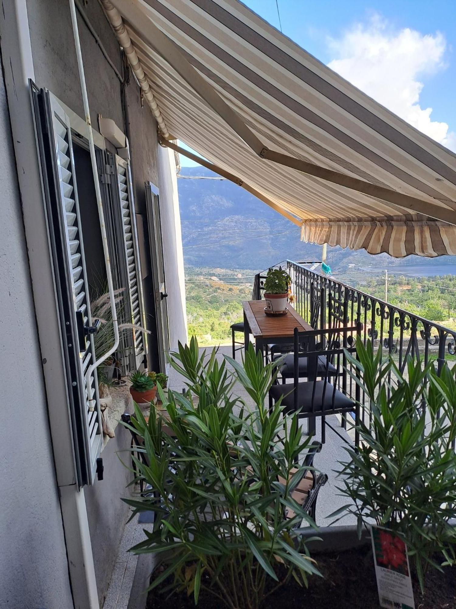 Location En Corse Au Pied Du Monte Cintu Apartment Lozzi Luaran gambar